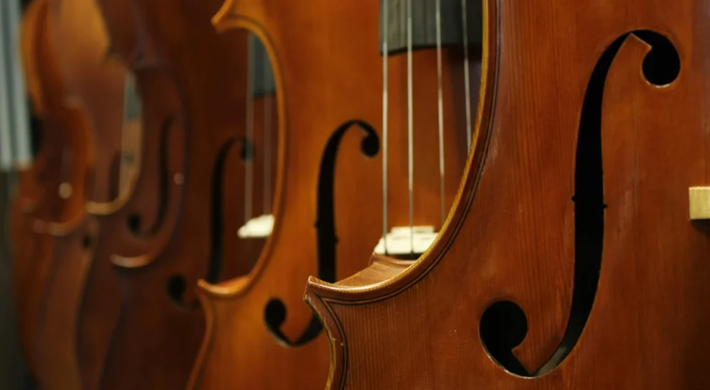 how to choose your cello size